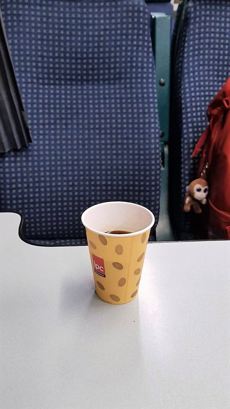 Dutchie-TrainTimisoaratoBudapest12